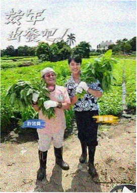 脱口秀之夜 语言喜剧综艺封面